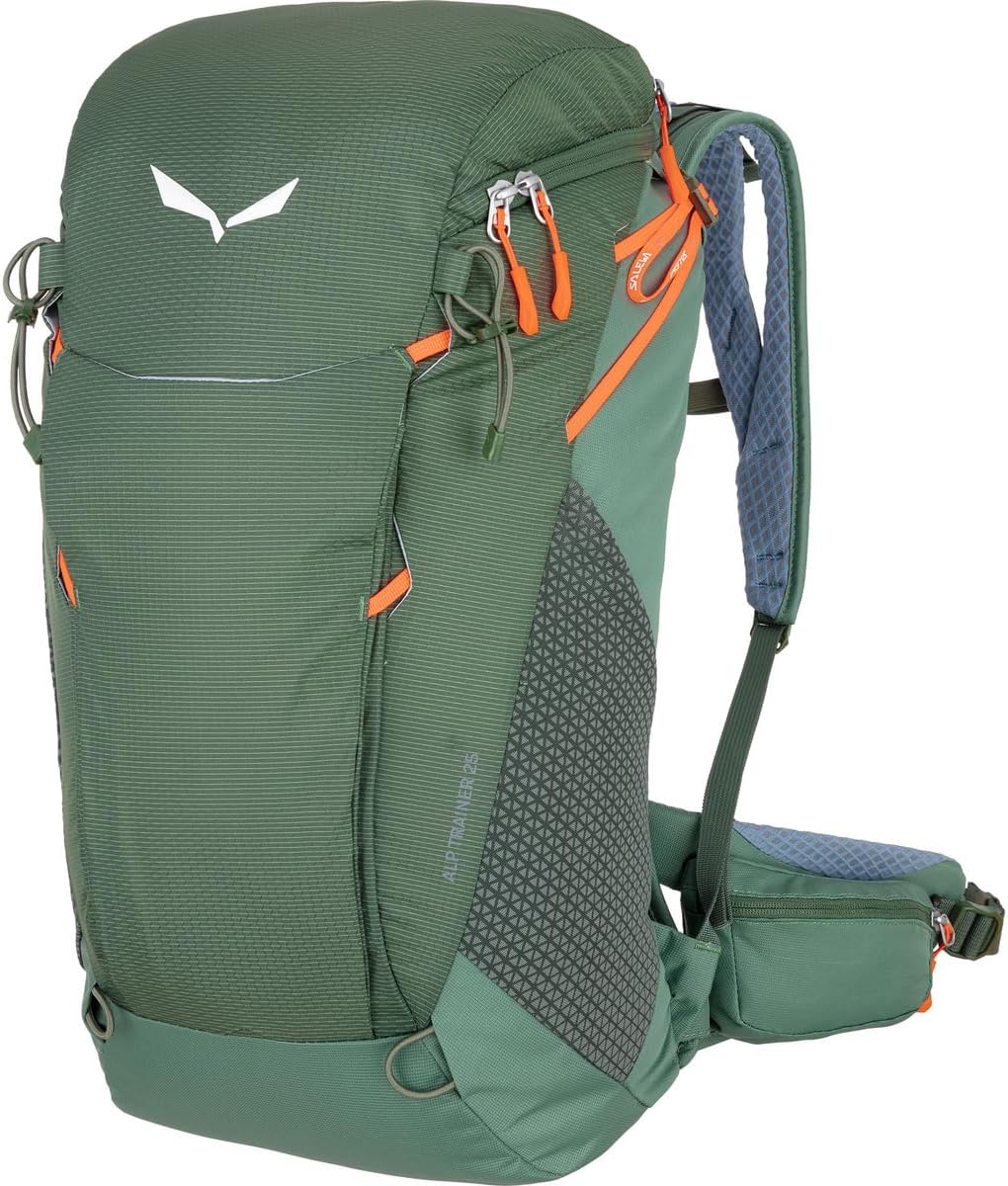 SALEWA Alp Trainer 25l Backpack